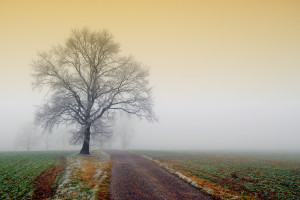 美网黑马崛起,下一位传奇是否已诞生