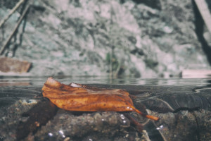 足球的魅力！2026世界杯预测，不止是胜负！