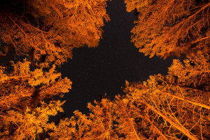 打破常规!这份网球发球速度榜,颠覆你对力量的认知! 打破常规!这份网球发球速度榜,颠覆你对力量的认知!